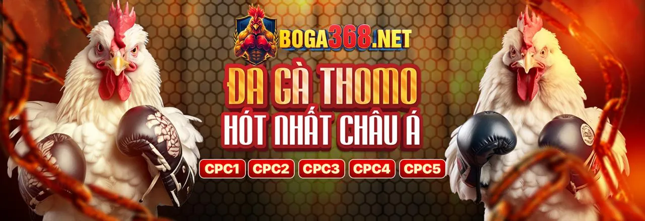 Các chương trình khuyến mãi độc quyền tại ae666 chính thức
